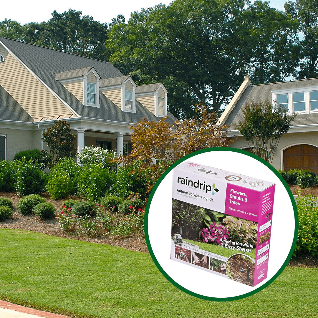 How to Get Started With Drip Irrigation RainDrip